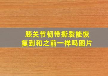 膝关节韧带撕裂能恢复到和之前一样吗图片