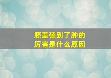 膝盖磕到了肿的厉害是什么原因