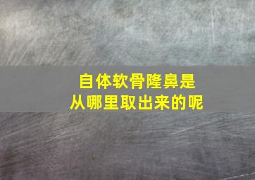 自体软骨隆鼻是从哪里取出来的呢