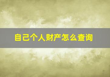 自己个人财产怎么查询