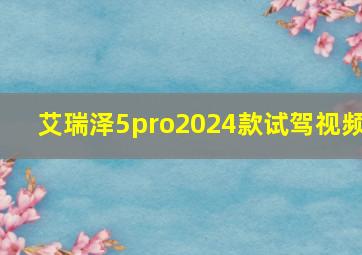 艾瑞泽5pro2024款试驾视频