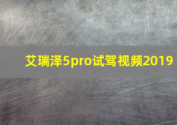 艾瑞泽5pro试驾视频2019