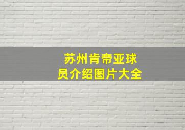 苏州肯帝亚球员介绍图片大全