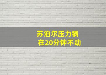 苏泊尔压力锅在20分钟不动