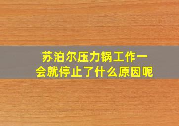 苏泊尔压力锅工作一会就停止了什么原因呢