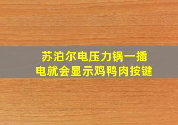 苏泊尔电压力锅一插电就会显示鸡鸭肉按键