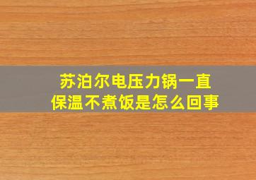 苏泊尔电压力锅一直保温不煮饭是怎么回事