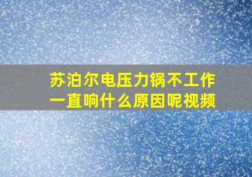 苏泊尔电压力锅不工作一直响什么原因呢视频