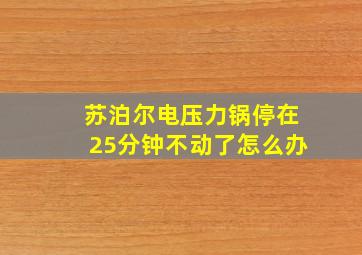 苏泊尔电压力锅停在25分钟不动了怎么办