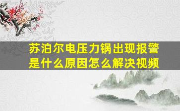 苏泊尔电压力锅出现报警是什么原因怎么解决视频