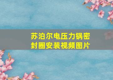 苏泊尔电压力锅密封圈安装视频图片