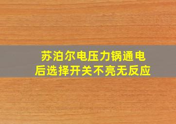 苏泊尔电压力锅通电后选择开关不亮无反应