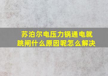 苏泊尔电压力锅通电就跳闸什么原因呢怎么解决