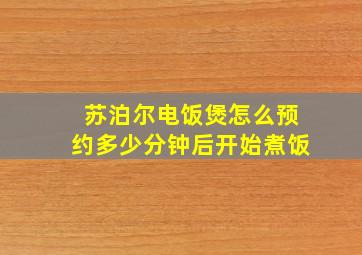 苏泊尔电饭煲怎么预约多少分钟后开始煮饭