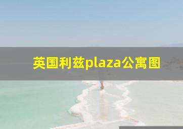 英国利兹plaza公寓图