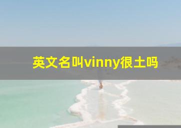 英文名叫vinny很土吗