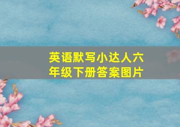 英语默写小达人六年级下册答案图片