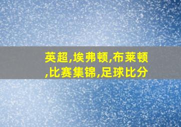 英超,埃弗顿,布莱顿,比赛集锦,足球比分