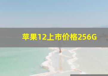 苹果12上市价格256G