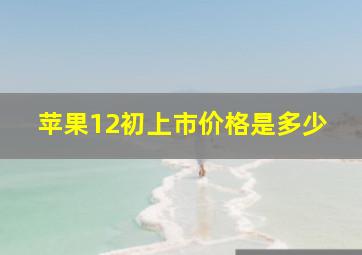 苹果12初上市价格是多少