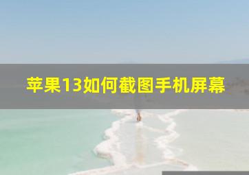 苹果13如何截图手机屏幕