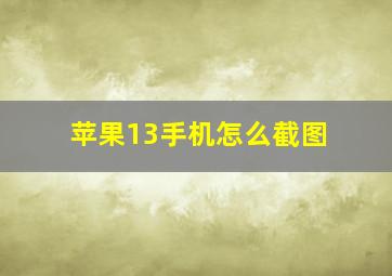 苹果13手机怎么截图