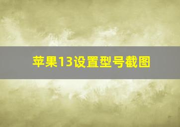 苹果13设置型号截图