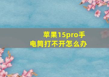 苹果15pro手电筒打不开怎么办