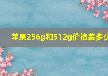 苹果256g和512g价格差多少