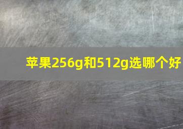 苹果256g和512g选哪个好