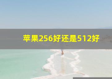 苹果256好还是512好