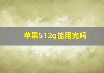 苹果512g能用完吗