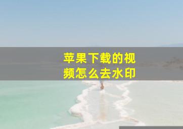 苹果下载的视频怎么去水印