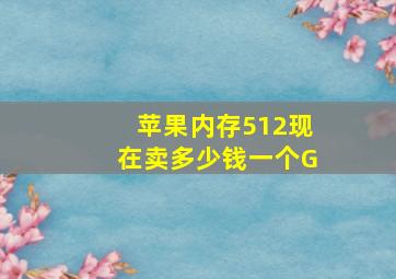 苹果内存512现在卖多少钱一个G