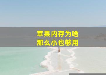 苹果内存为啥那么小也够用