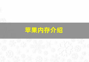 苹果内存介绍