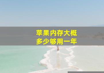 苹果内存大概多少够用一年