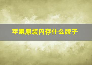 苹果原装内存什么牌子