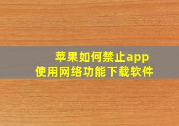 苹果如何禁止app使用网络功能下载软件