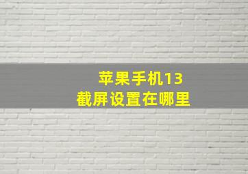 苹果手机13截屏设置在哪里