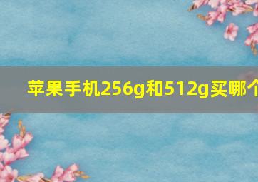 苹果手机256g和512g买哪个