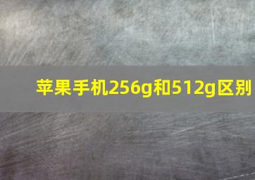 苹果手机256g和512g区别