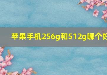 苹果手机256g和512g哪个好