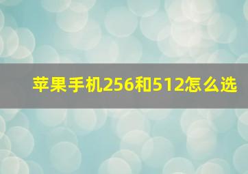 苹果手机256和512怎么选