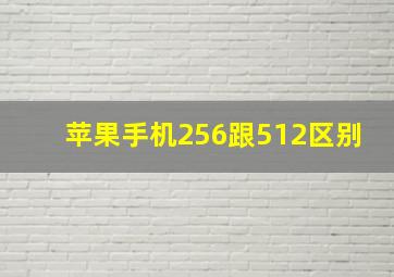 苹果手机256跟512区别