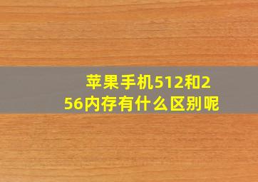 苹果手机512和256内存有什么区别呢