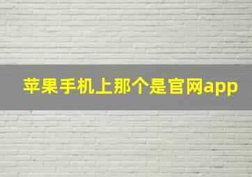 苹果手机上那个是官网app