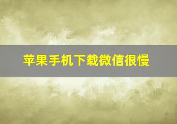 苹果手机下载微信很慢