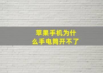 苹果手机为什么手电筒开不了