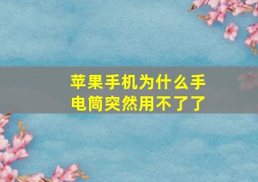 苹果手机为什么手电筒突然用不了了